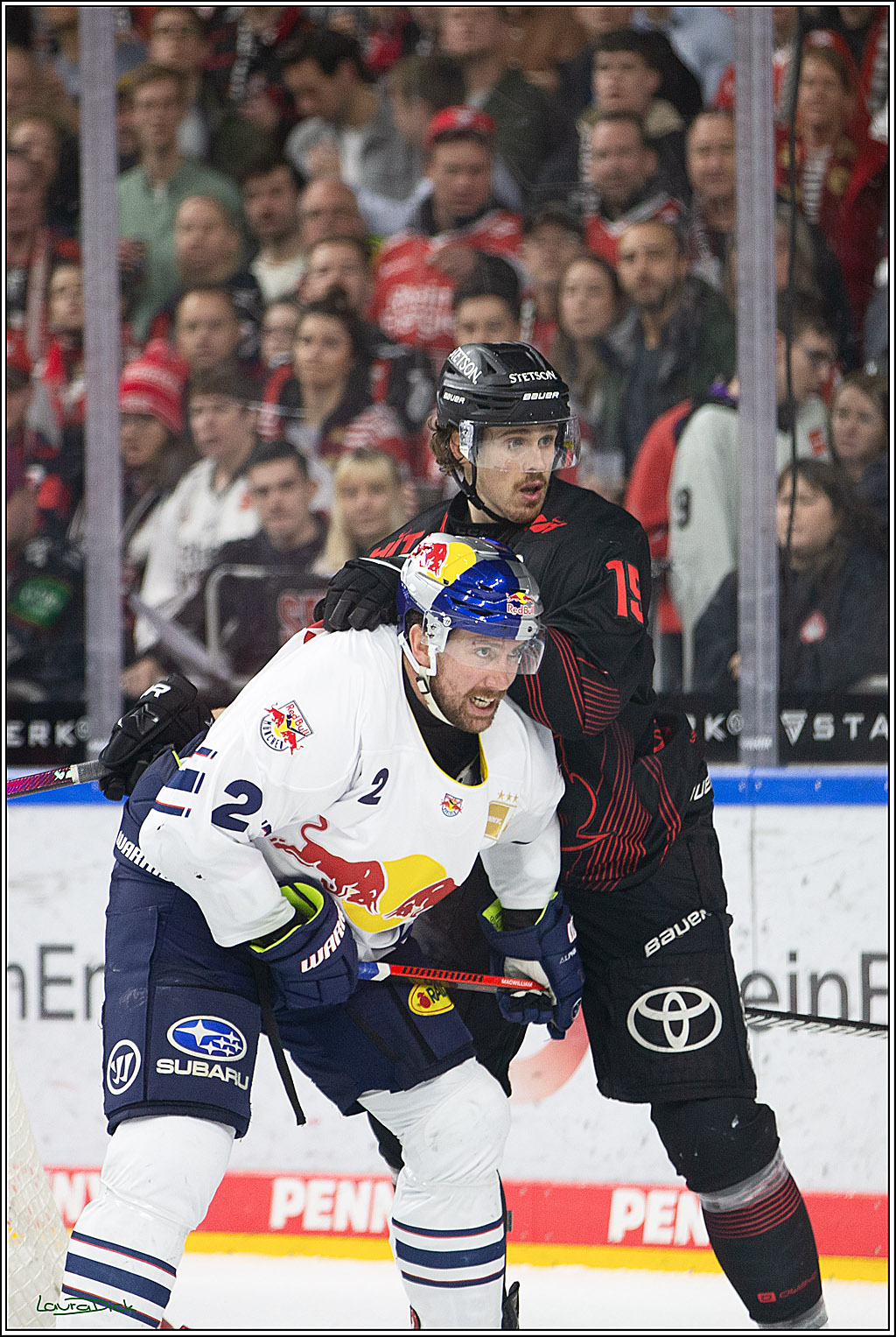 PENNY DEL; Koelner Haie- RedBull Muenchen; Koeln, 05.01.2024