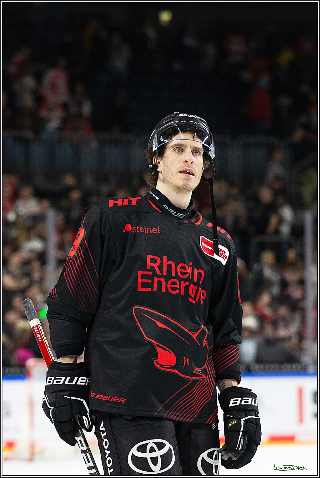 PENNY DEL; Koelner Haie- RedBull Muenchen; Koeln, 05.01.2024