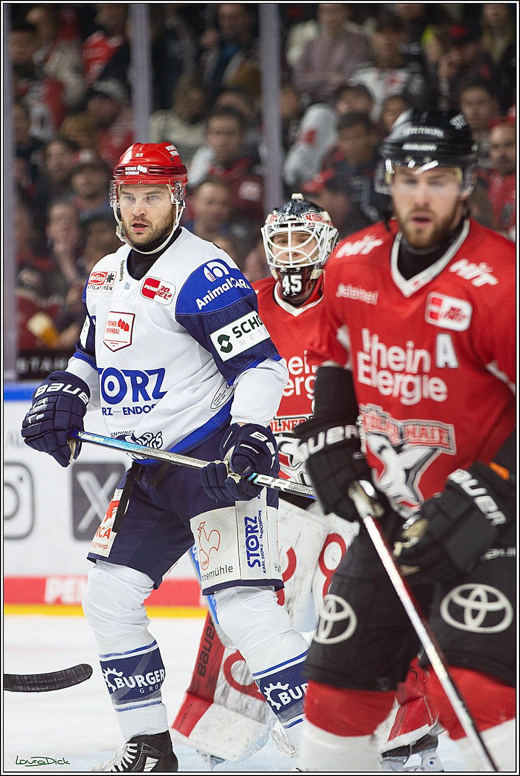 PENNY DEL; Koelner Haie- Schwenninger Wild Wings; Koeln, 14.01.2024