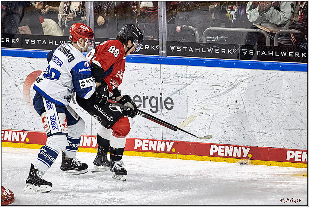 PENNY DEL 1; Kölner Haie - Schwenninger Wild Wings; Köln, 14.01.2024