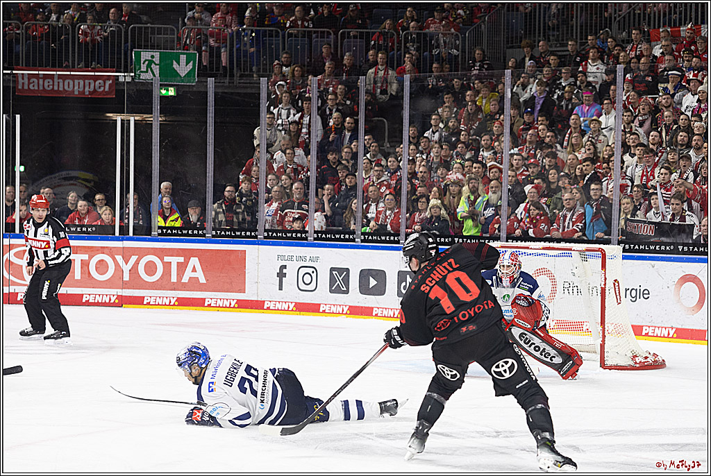 PENNY DEL 1; Kölner Haie - Iserlohn Roosters; Köln, 13.02.2024