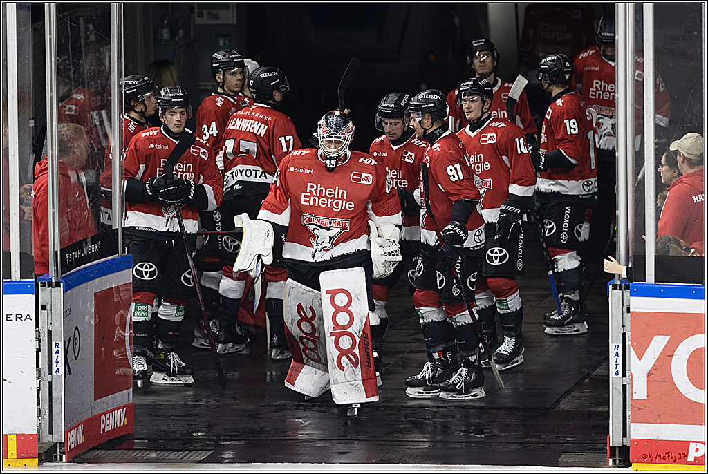 PENNY DEL 1; Kölner Haie - Löwen Frankfurt; Köln, 16.02.2024