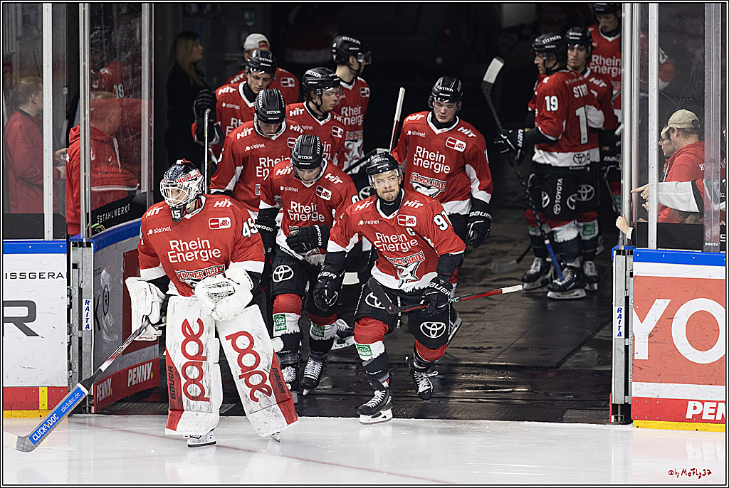 PENNY DEL 1; Kölner Haie - Löwen Frankfurt; Köln, 16.02.2024