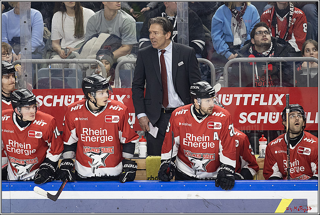 PENNY DEL 1; Kölner Haie - Löwen Frankfurt; Köln, 16.02.2024