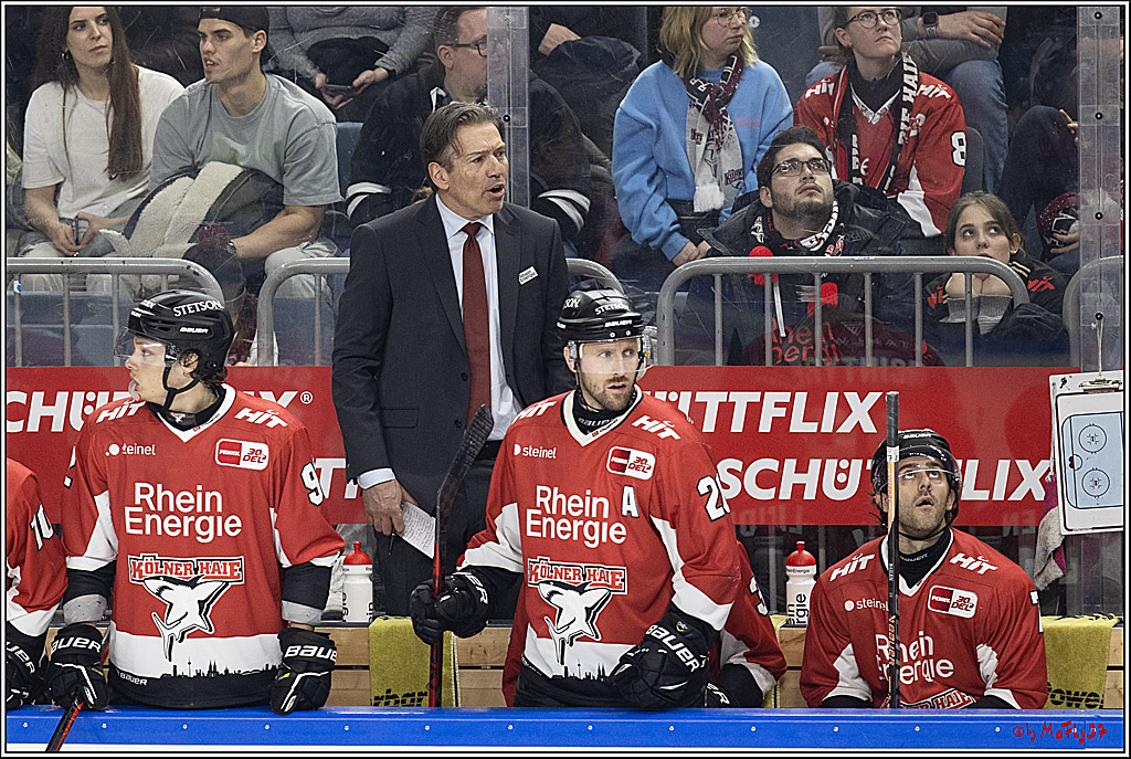 PENNY DEL 1; Kölner Haie - Löwen Frankfurt; Köln, 16.02.2024