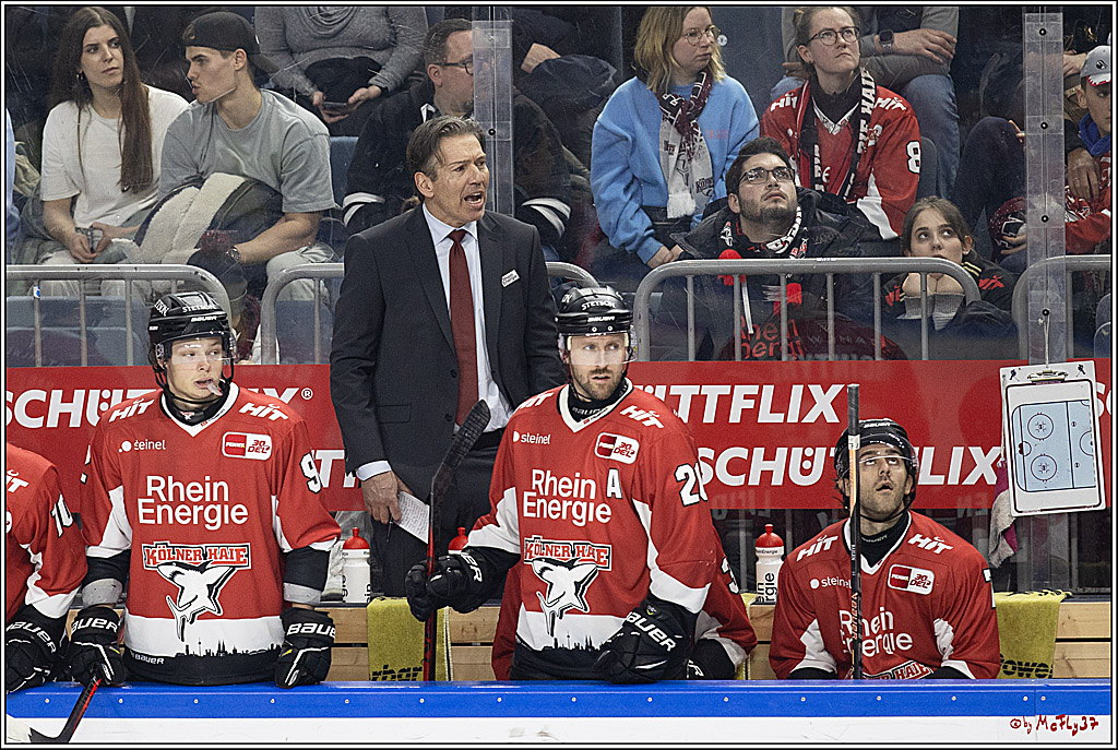 PENNY DEL 1; Kölner Haie - Löwen Frankfurt; Köln, 16.02.2024