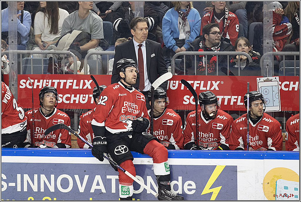 PENNY DEL 1; Kölner Haie - Löwen Frankfurt; Köln, 16.02.2024