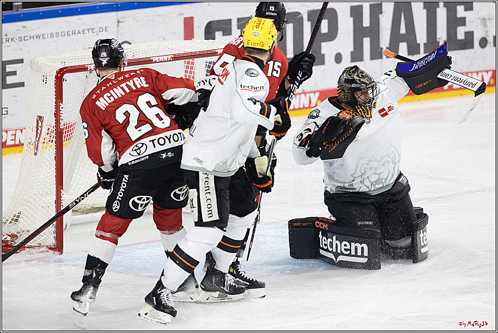 PENNY DEL 1; Kölner Haie - Löwen Frankfurt; Köln, 16.02.2024