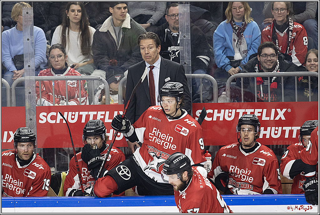 PENNY DEL 1; Kölner Haie - Löwen Frankfurt; Köln, 16.02.2024