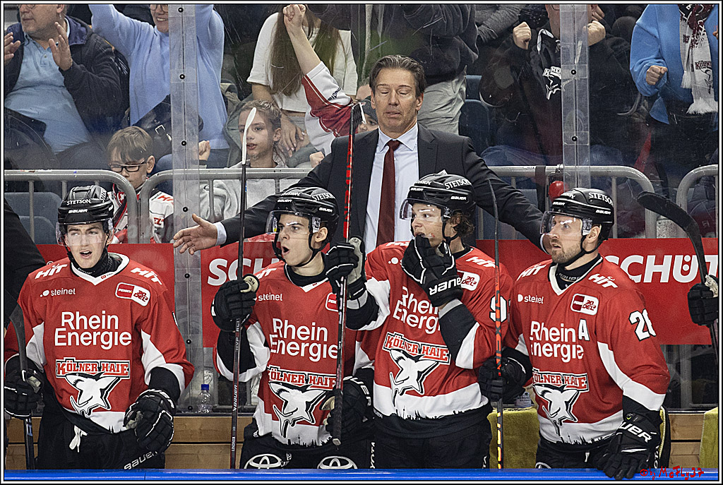 PENNY DEL 1; Kölner Haie - Löwen Frankfurt; Köln, 16.02.2024