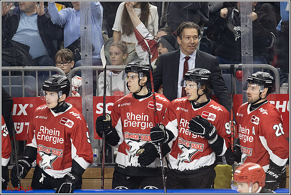 PENNY DEL 1; Kölner Haie - Löwen Frankfurt; Köln, 16.02.2024