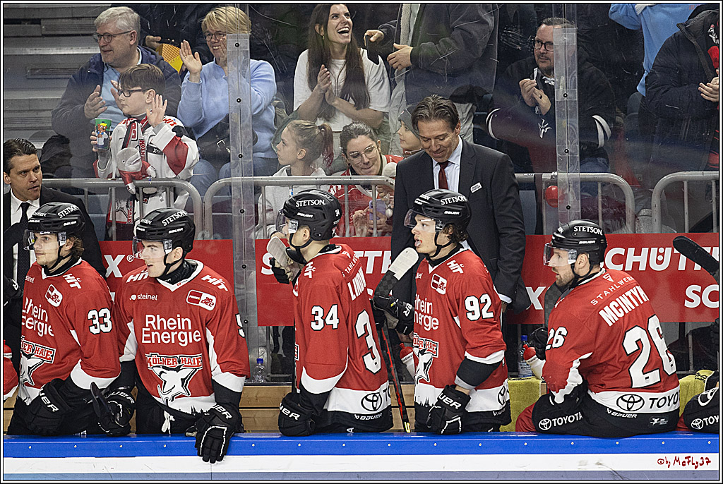 PENNY DEL 1; Kölner Haie - Löwen Frankfurt; Köln, 16.02.2024
