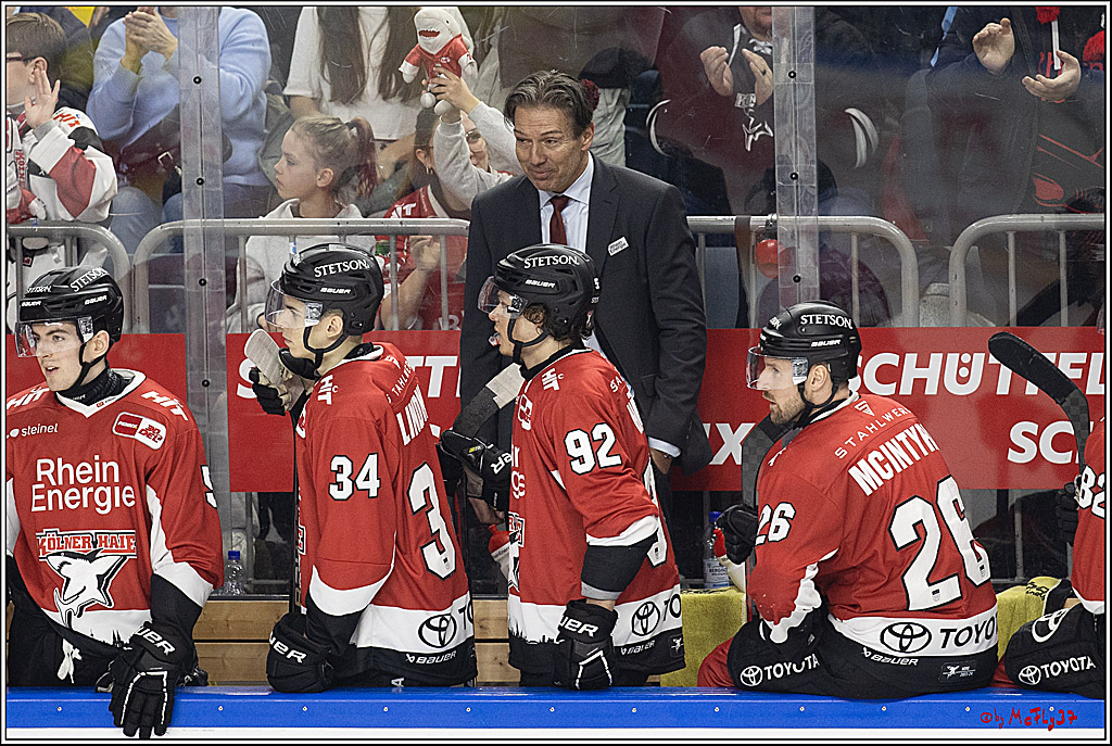 PENNY DEL 1; Kölner Haie - Löwen Frankfurt; Köln, 16.02.2024