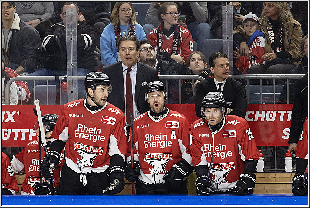 PENNY DEL 1; Kölner Haie - Löwen Frankfurt; Köln, 16.02.2024