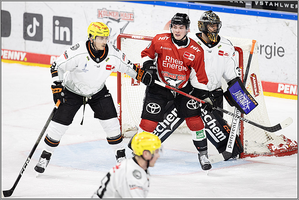 PENNY DEL 1; Kölner Haie - Löwen Frankfurt; Köln, 16.02.2024