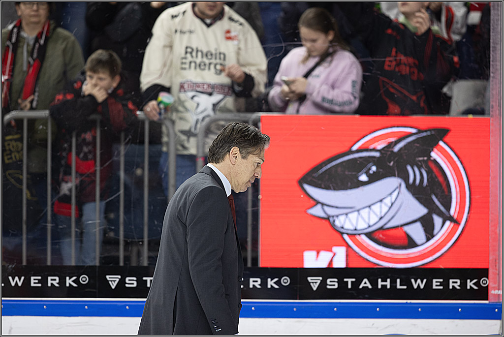 PENNY DEL 1; Kölner Haie - Löwen Frankfurt; Köln, 16.02.2024