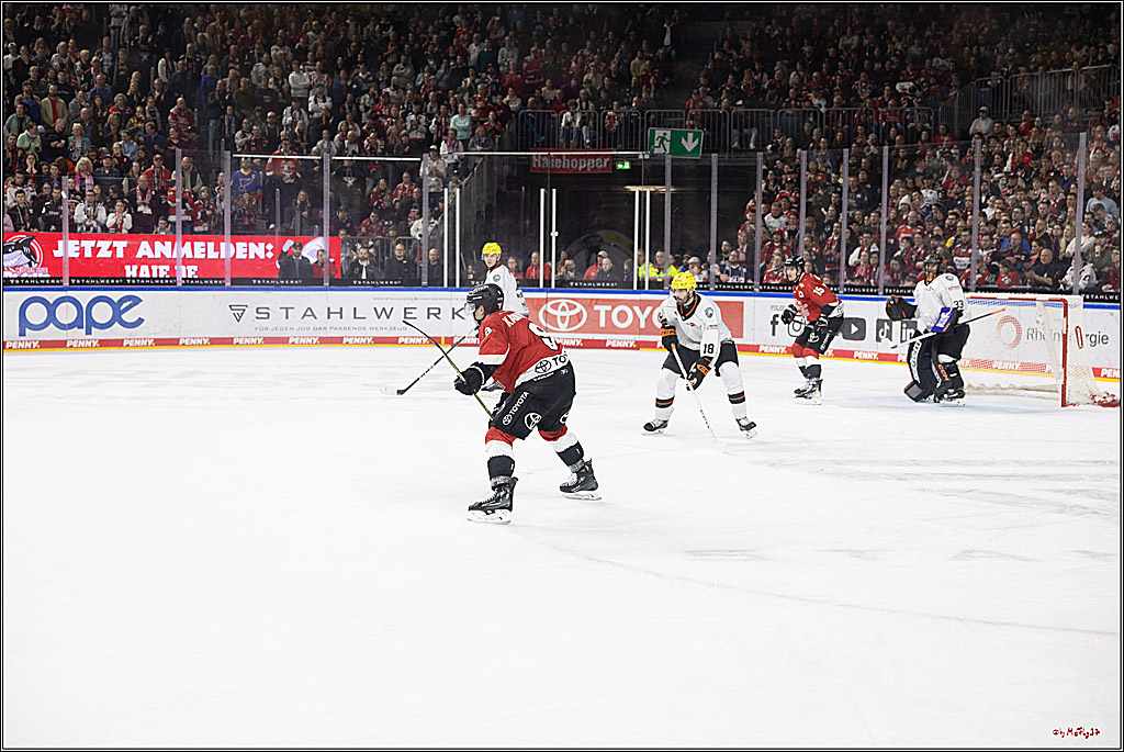 PENNY DEL 1; Kölner Haie - Löwen Frankfurt; Köln, 16.02.2024