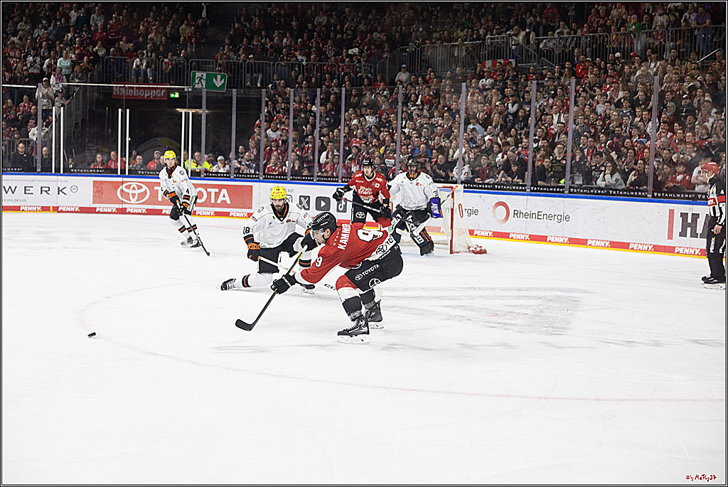 PENNY DEL 1; Kölner Haie - Löwen Frankfurt; Köln, 16.02.2024