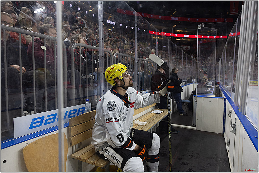 PENNY DEL 1; Kölner Haie - Löwen Frankfurt; Köln, 16.02.2024