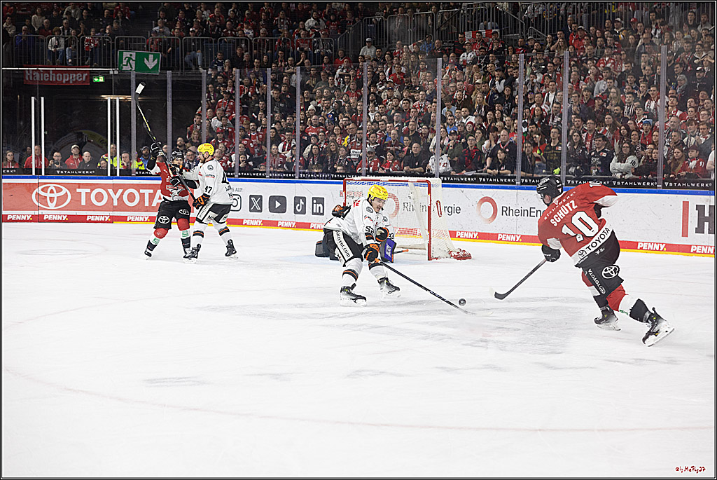 PENNY DEL 1; Kölner Haie - Löwen Frankfurt; Köln, 16.02.2024