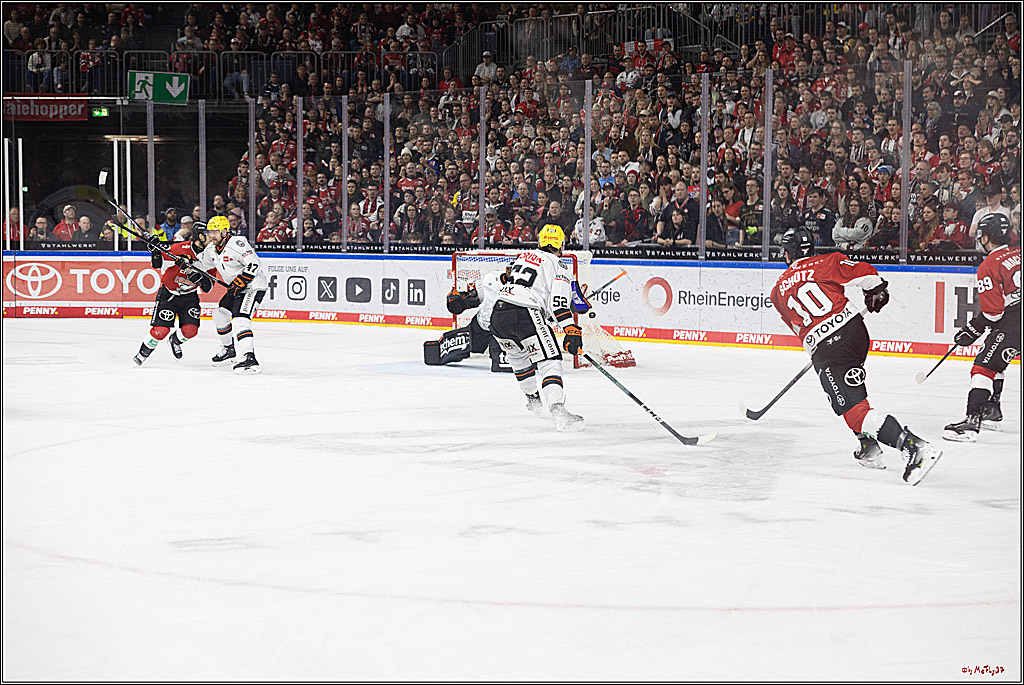 PENNY DEL 1; Kölner Haie - Löwen Frankfurt; Köln, 16.02.2024