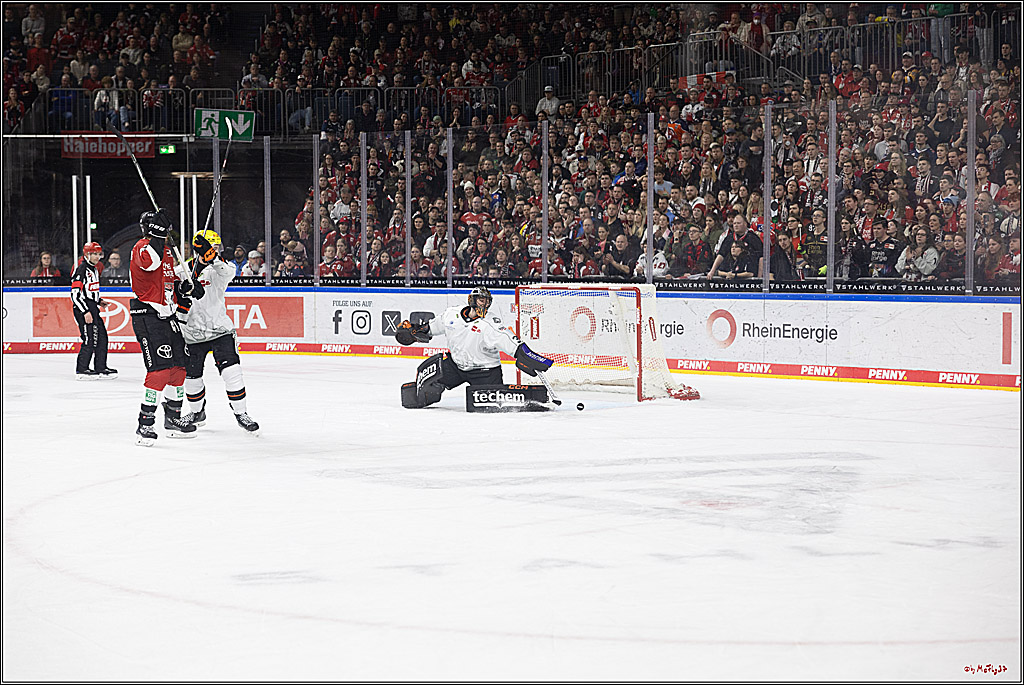 PENNY DEL 1; Kölner Haie - Löwen Frankfurt; Köln, 16.02.2024