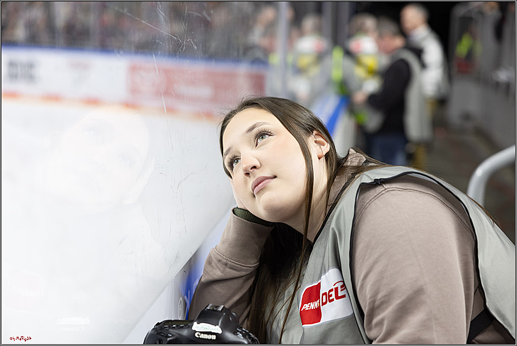 PENNY DEL 1; Kölner Haie - Löwen Frankfurt; Köln, 16.02.2024