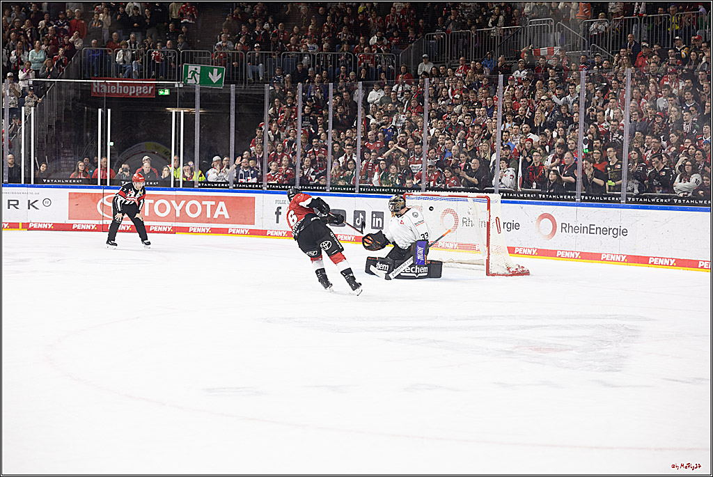 PENNY DEL 1; Kölner Haie - Löwen Frankfurt; Köln, 16.02.2024