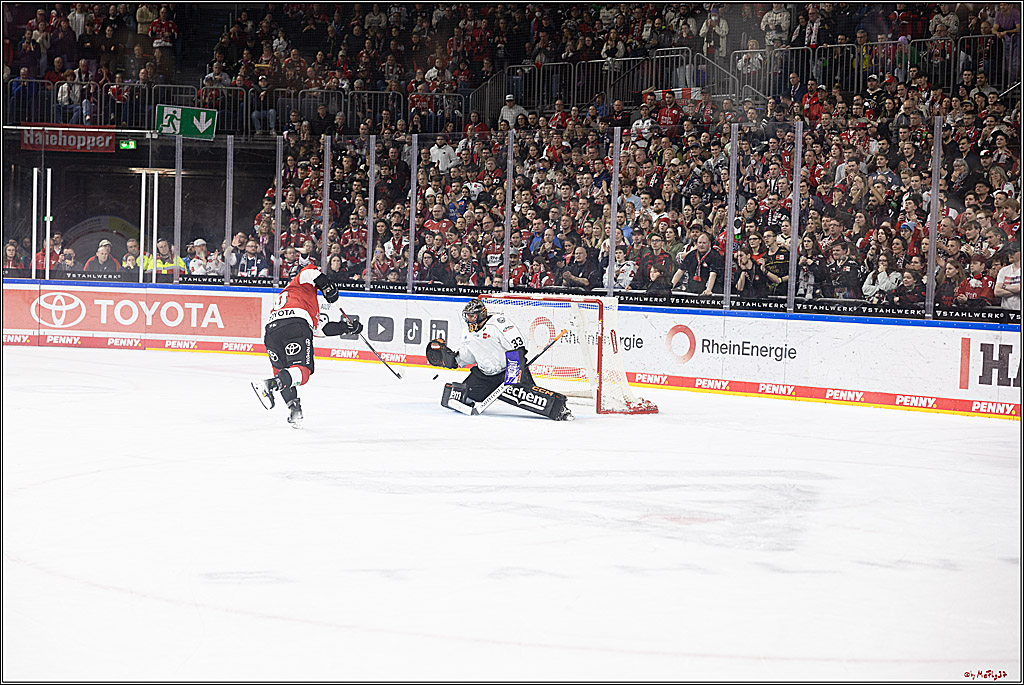 PENNY DEL 1; Kölner Haie - Löwen Frankfurt; Köln, 16.02.2024