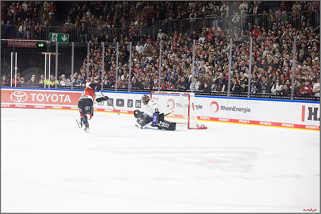 PENNY DEL 1; Kölner Haie - Löwen Frankfurt; Köln, 16.02.2024