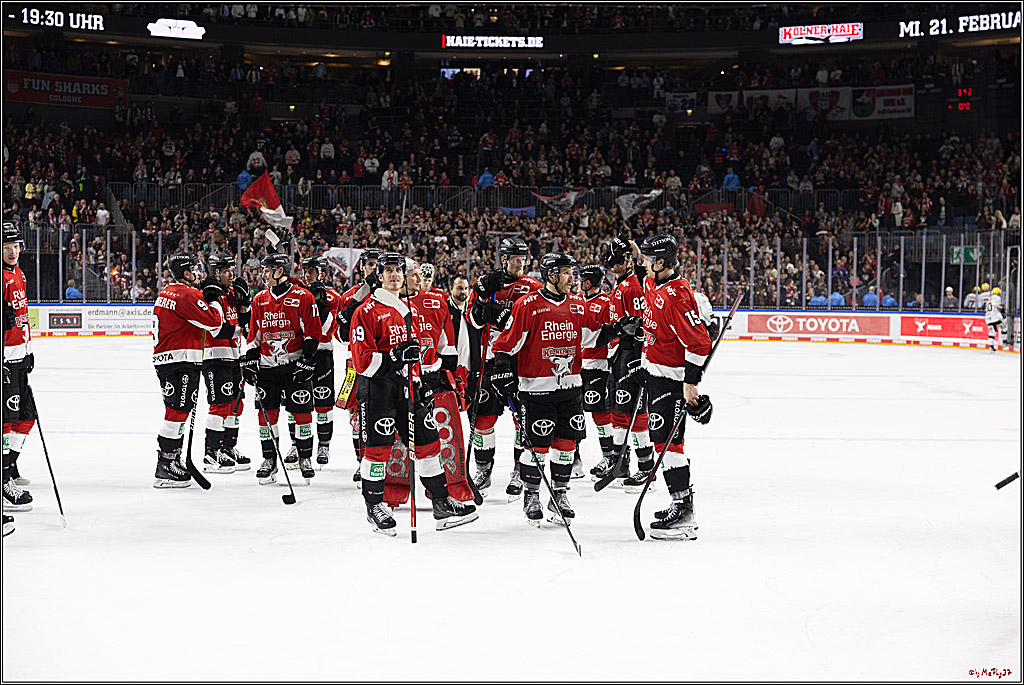 PENNY DEL 1; Kölner Haie - Löwen Frankfurt; Köln, 16.02.2024