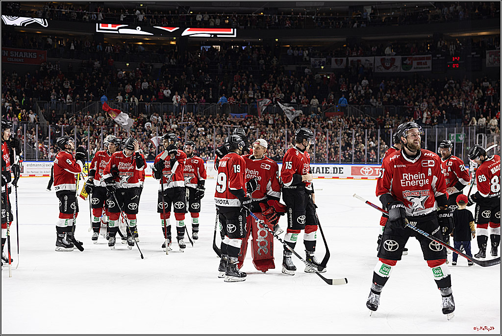 PENNY DEL 1; Kölner Haie - Löwen Frankfurt; Köln, 16.02.2024