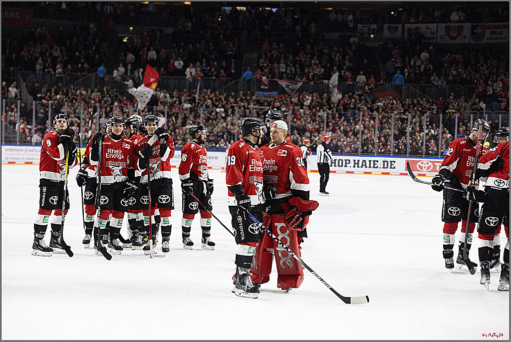 PENNY DEL 1; Kölner Haie - Löwen Frankfurt; Köln, 16.02.2024