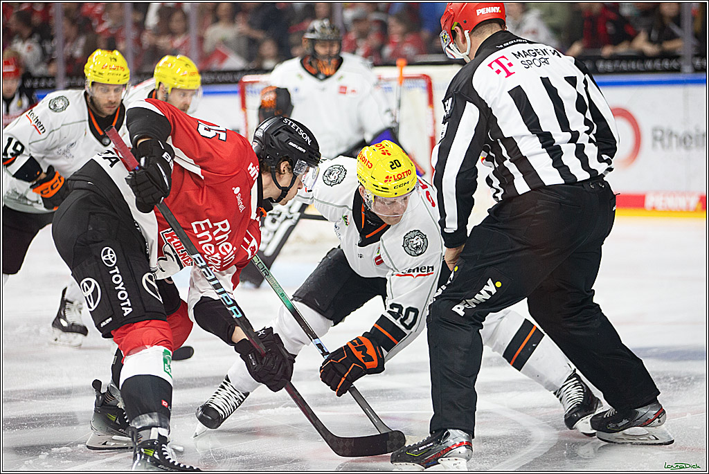 PENNY DEL; Koelner Haie-Loewen Frankfurt; Koeln, 16.02.2024