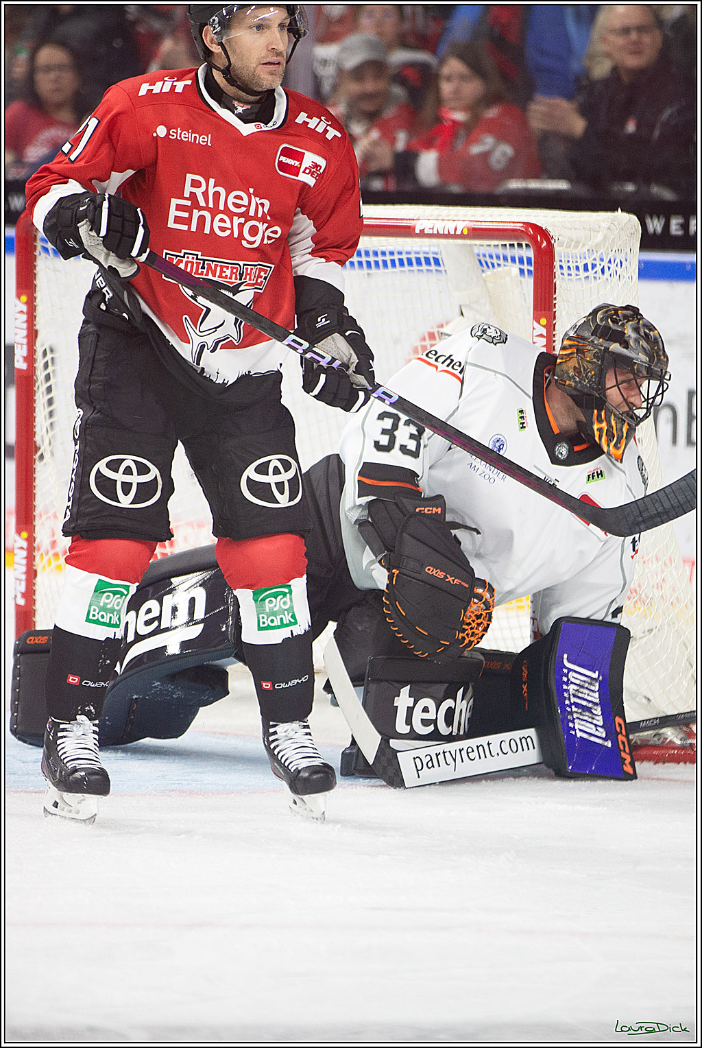 PENNY DEL; Koelner Haie-Loewen Frankfurt; Koeln, 16.02.2024