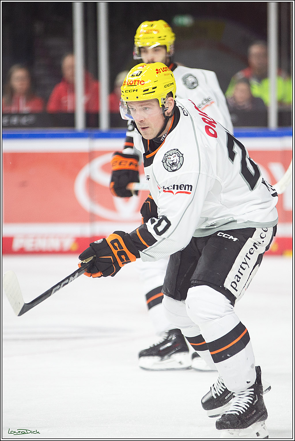 PENNY DEL; Koelner Haie-Loewen Frankfurt; Koeln, 16.02.2024