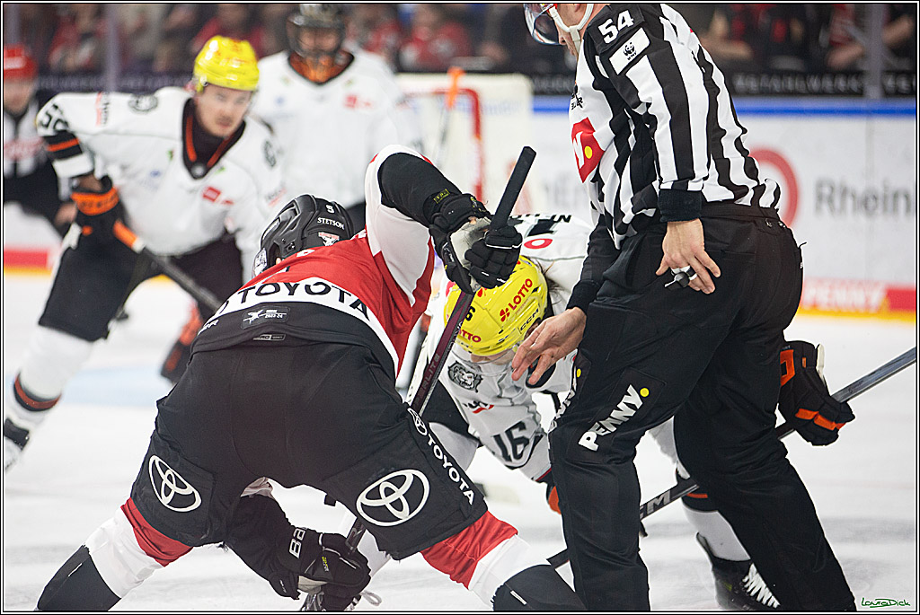 PENNY DEL; Koelner Haie-Loewen Frankfurt; Koeln, 16.02.2024