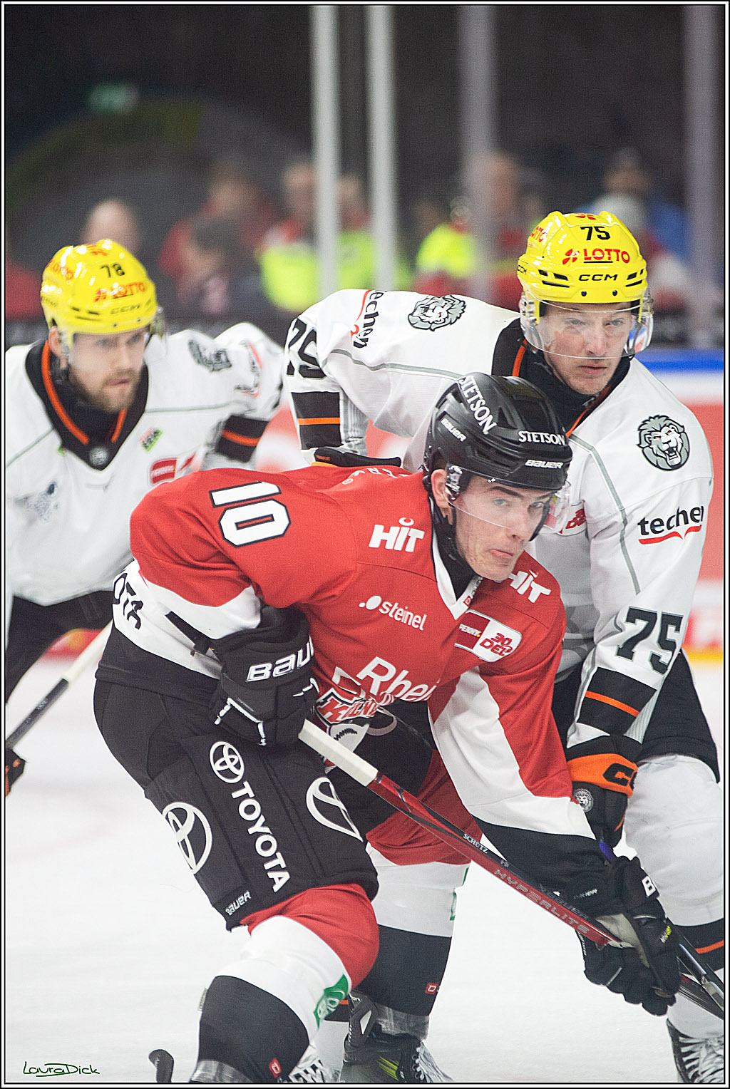 PENNY DEL; Koelner Haie-Loewen Frankfurt; Koeln, 16.02.2024