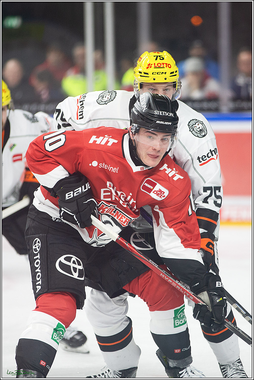 PENNY DEL; Koelner Haie-Loewen Frankfurt; Koeln, 16.02.2024