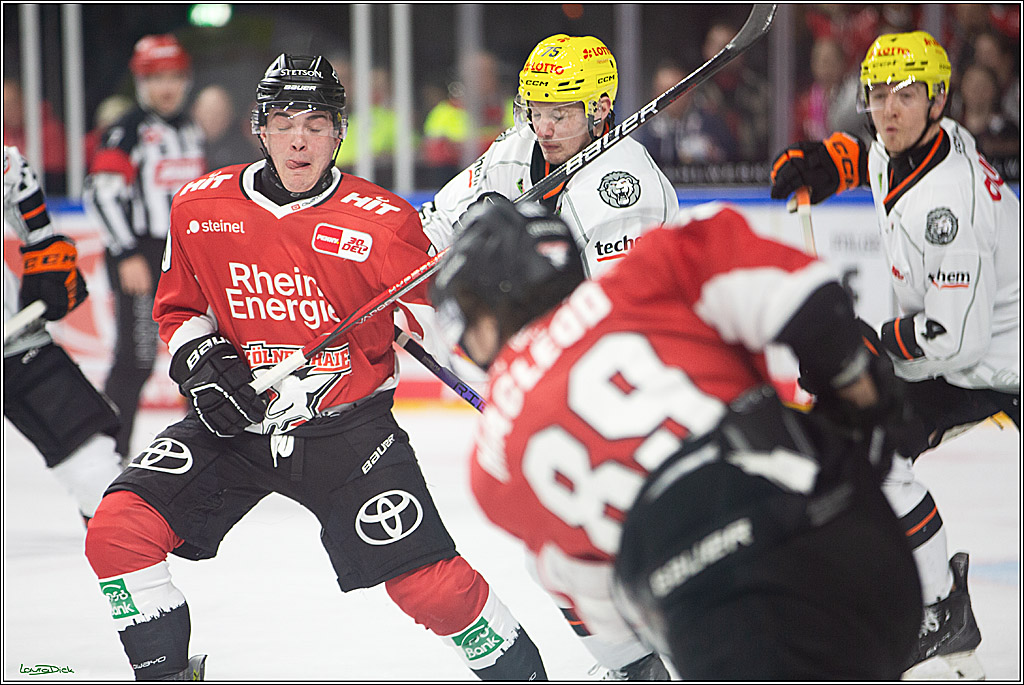 PENNY DEL; Koelner Haie-Loewen Frankfurt; Koeln, 16.02.2024