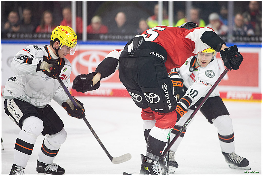 PENNY DEL; Koelner Haie-Loewen Frankfurt; Koeln, 16.02.2024