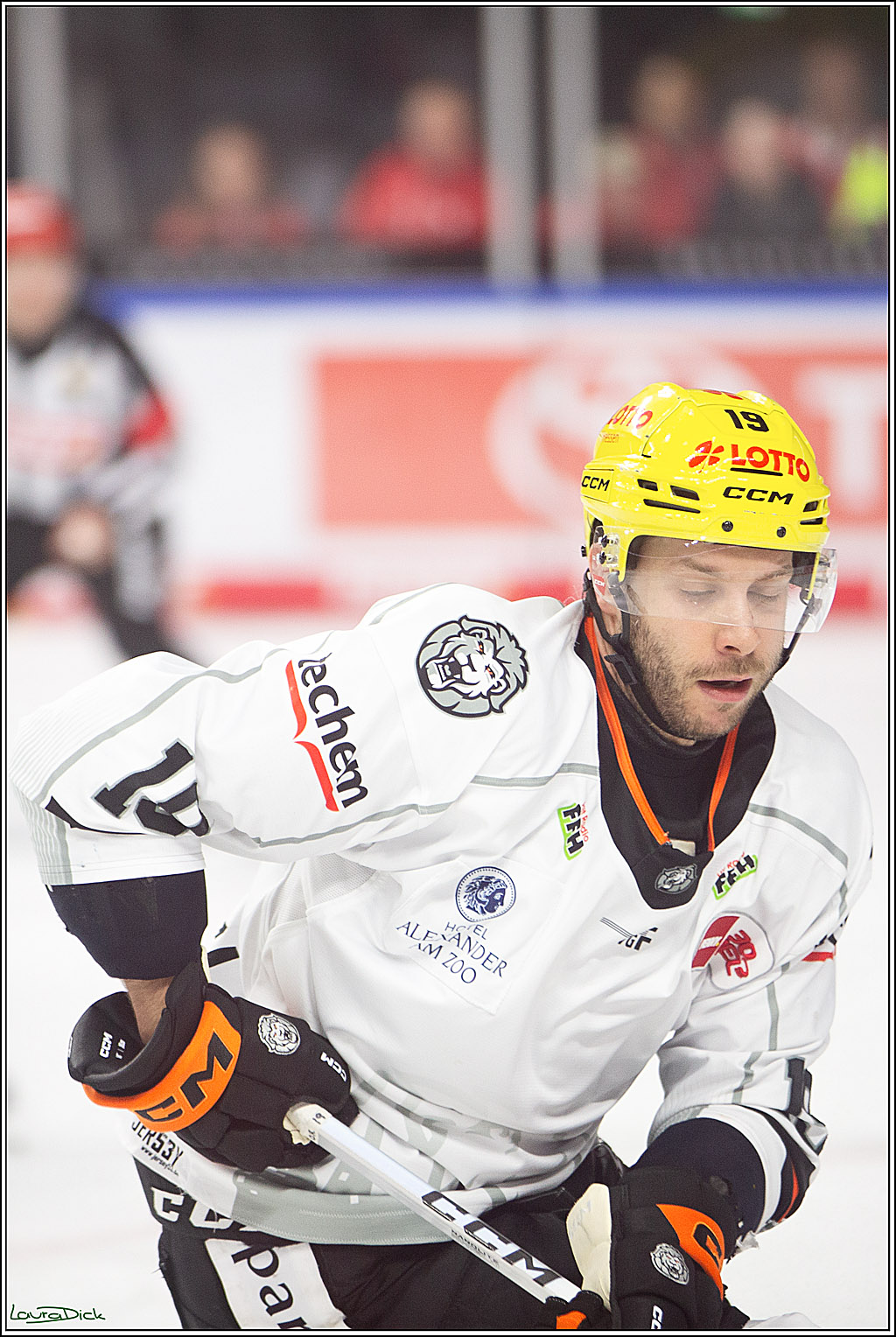 PENNY DEL; Koelner Haie-Loewen Frankfurt; Koeln, 16.02.2024