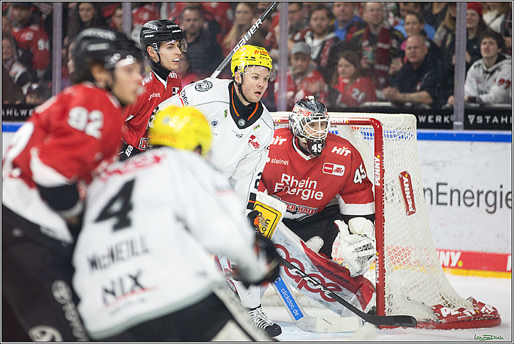 PENNY DEL; Koelner Haie-Loewen Frankfurt; Koeln, 16.02.2024