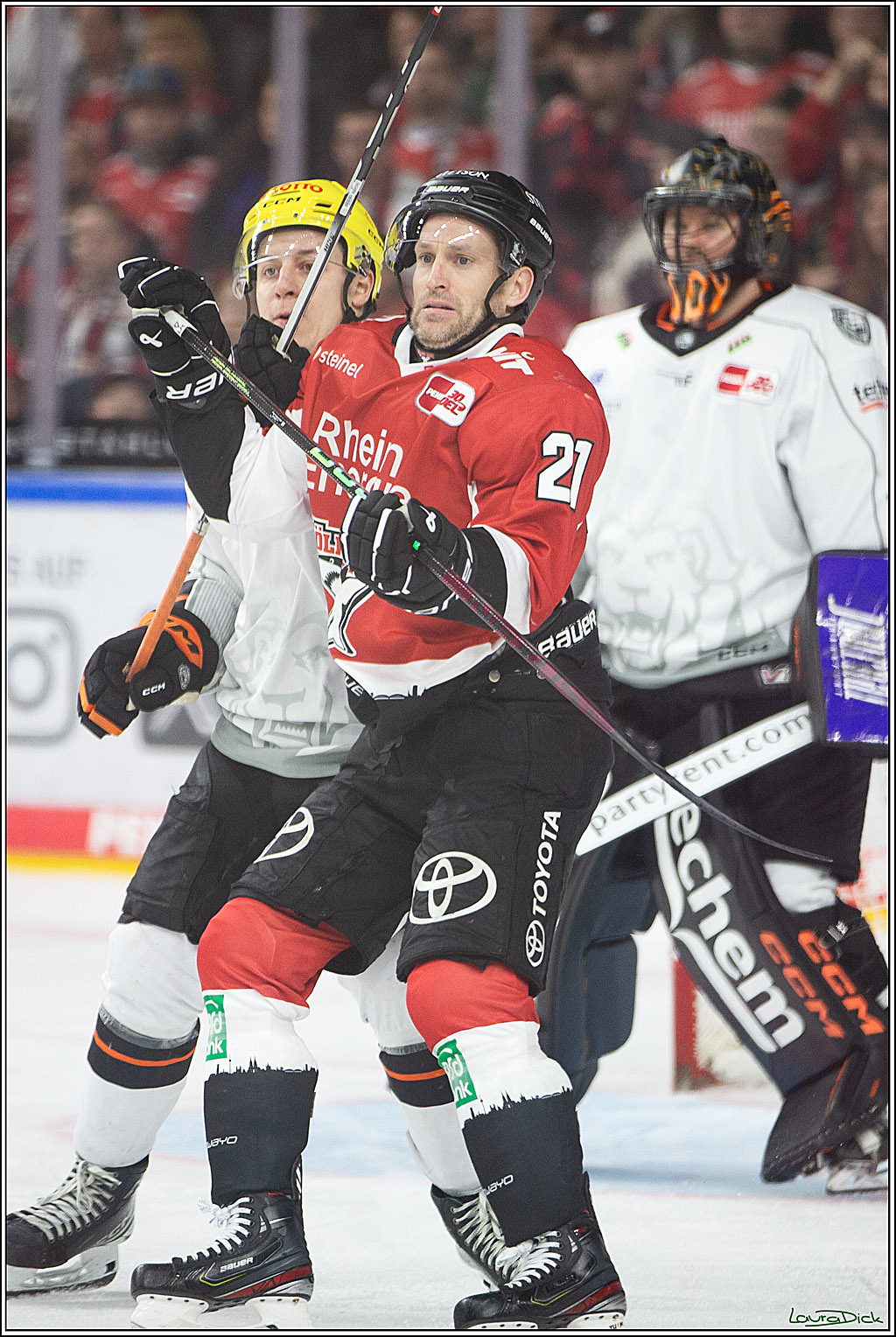 PENNY DEL; Koelner Haie-Loewen Frankfurt; Koeln, 16.02.2024