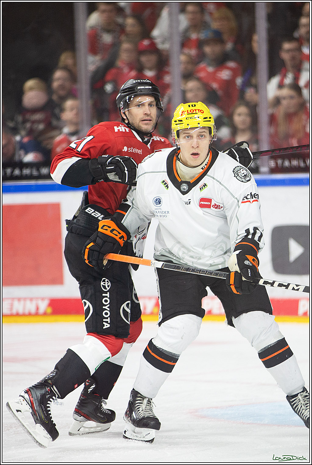 PENNY DEL; Koelner Haie-Loewen Frankfurt; Koeln, 16.02.2024