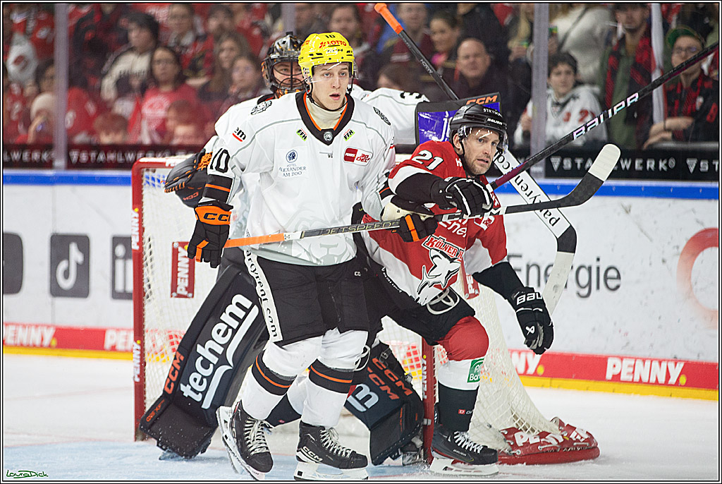 PENNY DEL; Koelner Haie-Loewen Frankfurt; Koeln, 16.02.2024