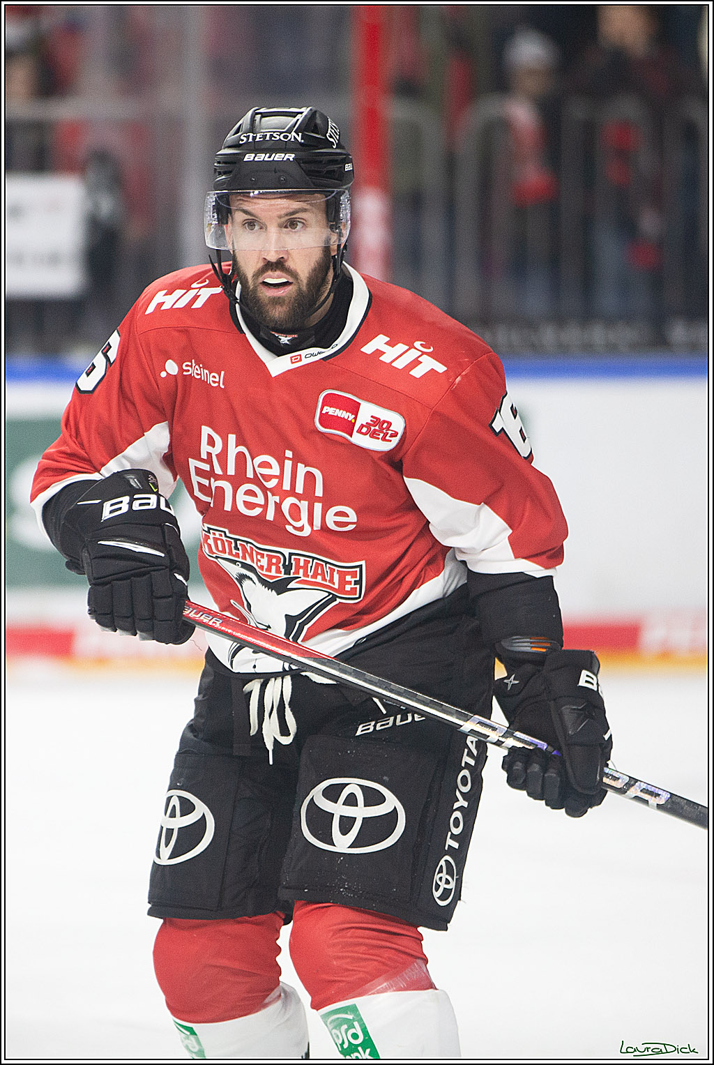 PENNY DEL; Koelner Haie-Loewen Frankfurt; Koeln, 16.02.2024