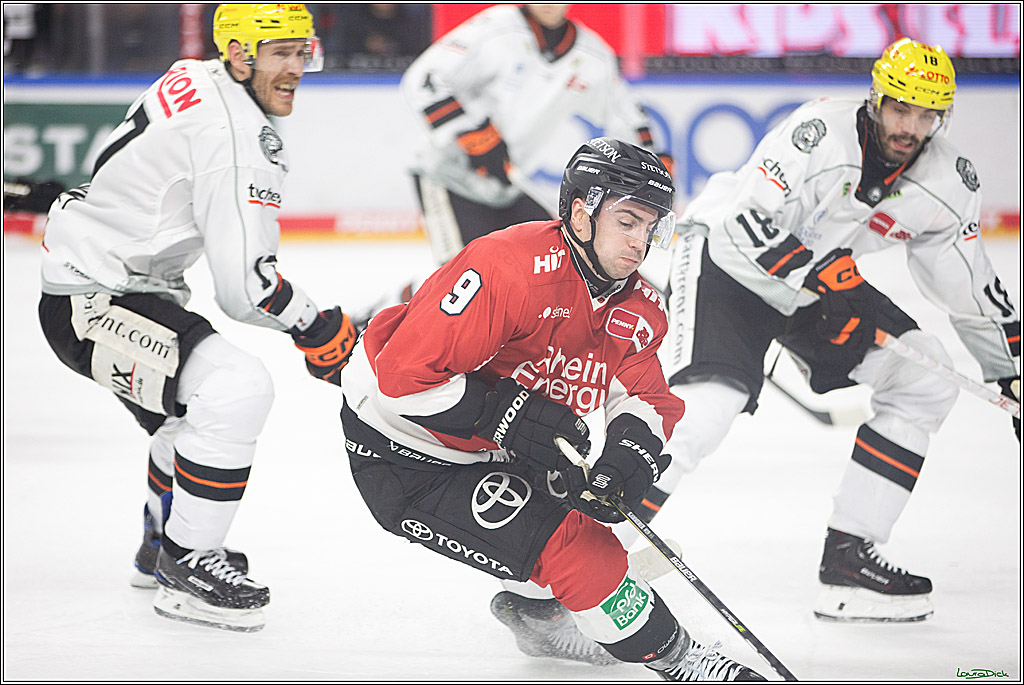 PENNY DEL; Koelner Haie-Loewen Frankfurt; Koeln, 16.02.2024