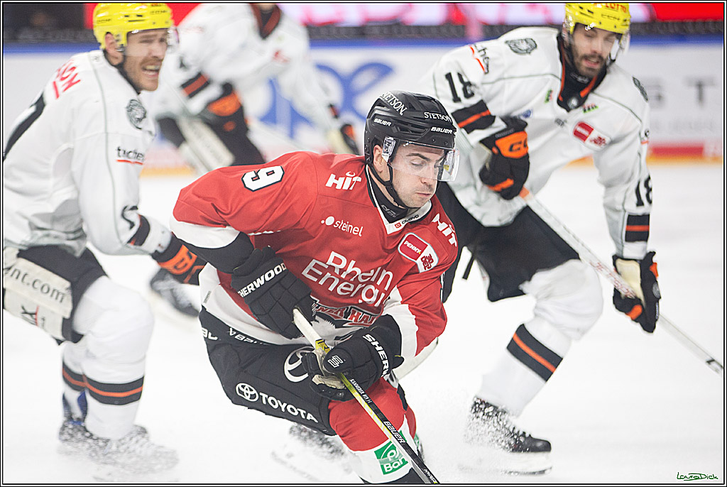PENNY DEL; Koelner Haie-Loewen Frankfurt; Koeln, 16.02.2024