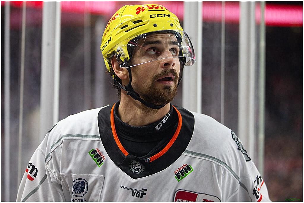 PENNY DEL; Koelner Haie-Loewen Frankfurt; Koeln, 16.02.2024